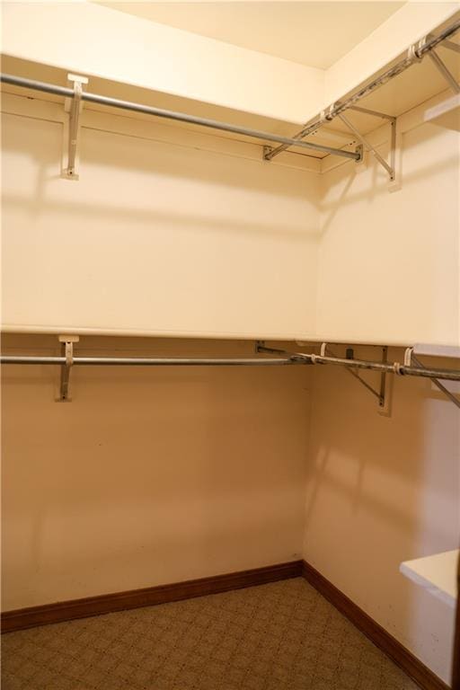 1203 E Quincy St, Pittsburg, KS 66762 - view of walk in closet