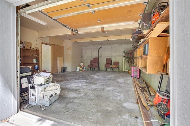 120 NW Whitlock Dr, Lees Summit, MO 64081 - garage featuring a garage door opener