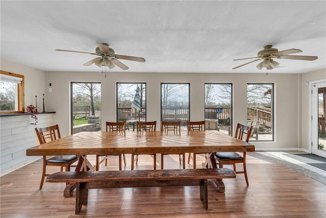 24101 S State Route K, Pleasant Hill, MO 64080 - dining room with a ceiling fan, healthy amount of natural light, and light wood-style floors