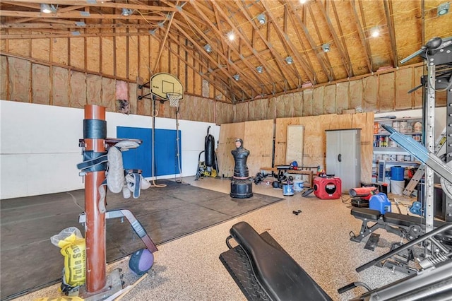 24101 S State Route K, Pleasant Hill, MO 64080 - exercise area featuring high vaulted ceiling