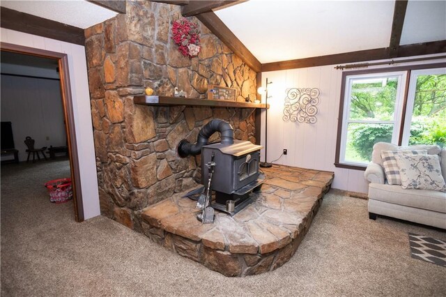 1156 NE 50th Rd, Lamar, MO 64759 - photo 15