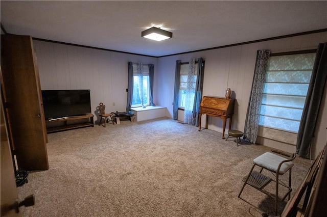 1156 NE 50th Rd, Lamar, MO 64759 - photo 24