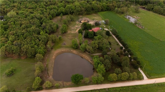 1156 NE 50th Rd, Lamar, MO 64759 - photo 45