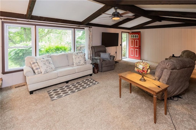1156 NE 50th Rd, Lamar, MO 64759 - photo 14