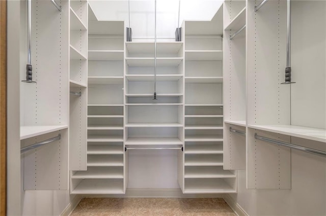 view of spacious closet