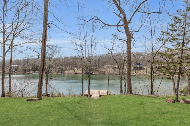 122 W Lou Ann Dr, Lacygne, KS 66040 - view of water feature