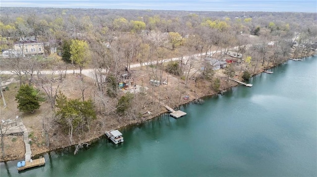 122 W Lou Ann Dr, Lacygne, KS 66040 - birds eye view of property with a forest view and a water view