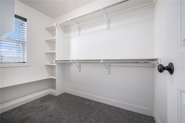 spacious closet featuring carpet flooring