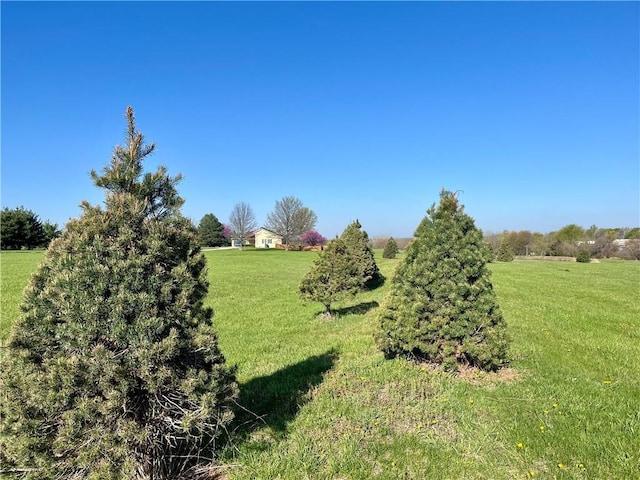 8820 W 247th St, Louisburg, KS 66053 - view of yard with a rural view