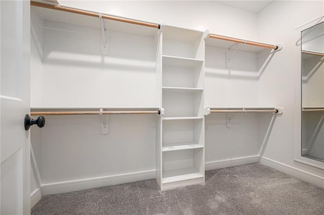 19703 W 196th St, Spring Hill, KS 66083 - walk in closet with carpet