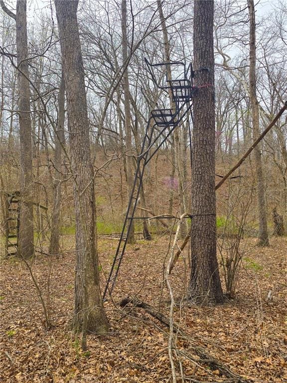 32555 Sagrada Beach Rd, Lincoln, MO 65338