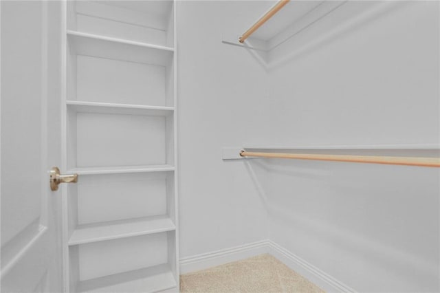 5428 W 145th Ter, Leawood, KS 66224 - walk in closet with carpet flooring