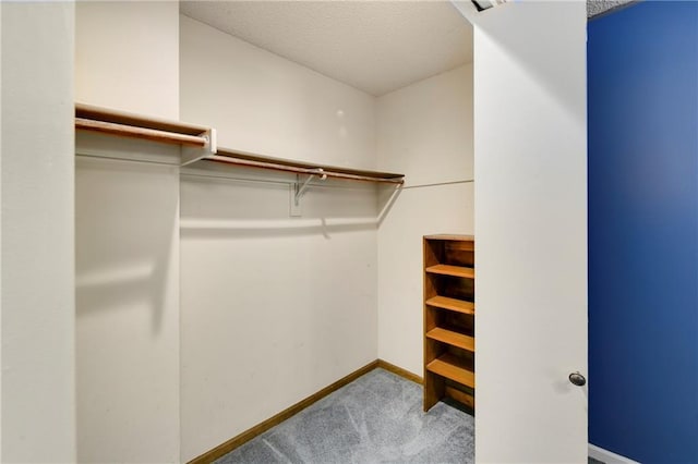 spacious closet with carpet flooring