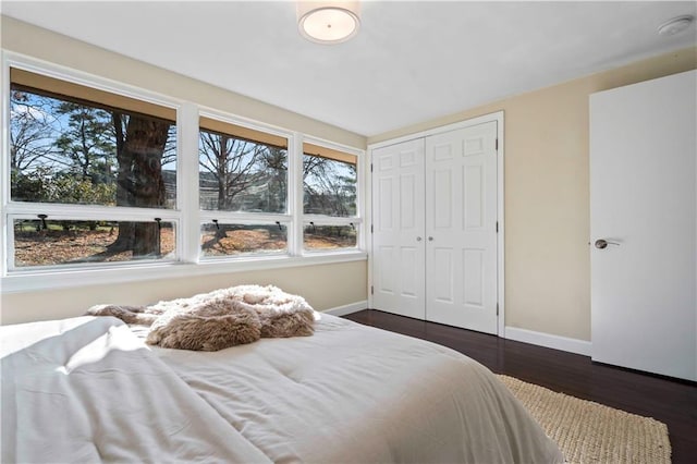 bedroom featuring a closet, baseboards, multiple windows, and dark wood finished floors