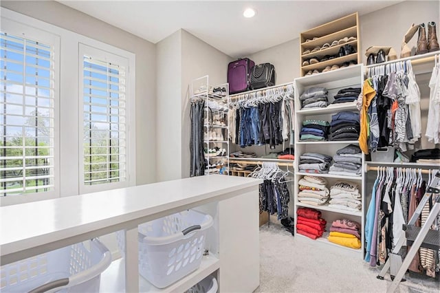 walk in closet with carpet flooring