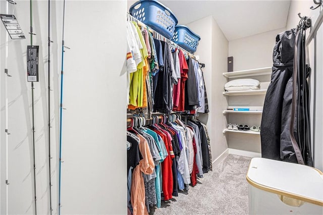 spacious closet featuring carpet floors