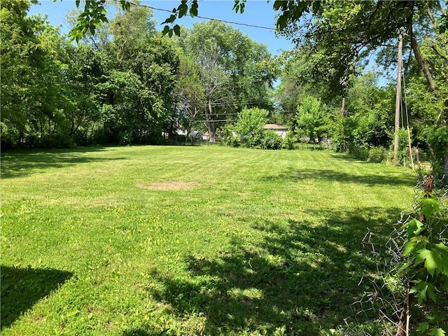 view of green lawn