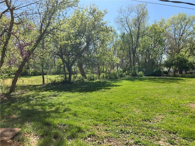 view of grassy yard