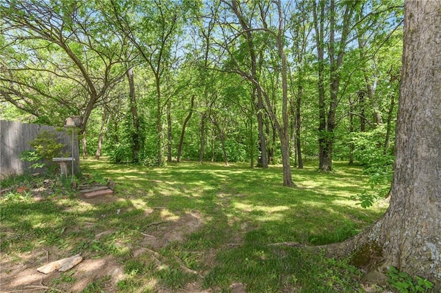 32832 195th St, Leavenworth, KS 66048 - view of yard