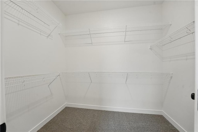 2433 NW Sunnyvale Ct, Blue Springs, MO 64015 - walk in closet with dark colored carpet