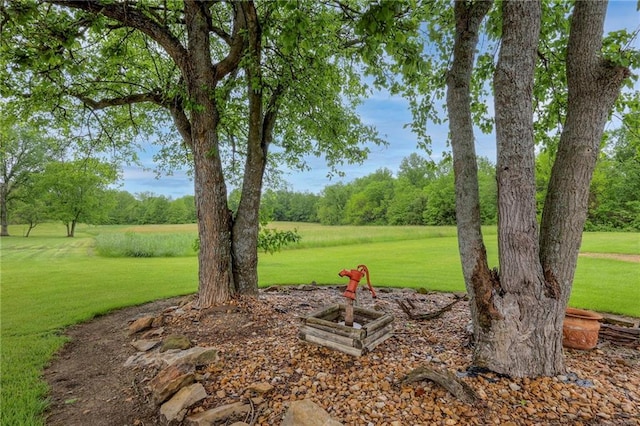 43 901st Rd, Clinton, MO 64735 - view of yard