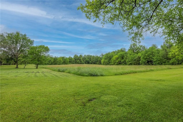 43 901st Rd, Clinton, MO 64735 - view of nature