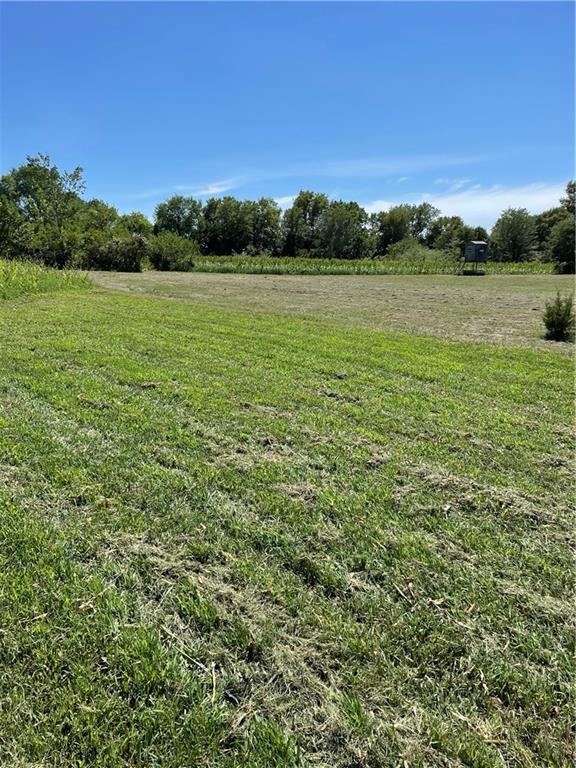 43 901st Rd, Clinton, MO 64735 - view of yard with a rural view
