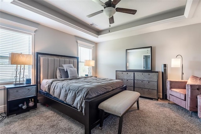 309 NE 102nd Ter, Kansas City, MO 64155 - bedroom featuring ceiling fan, a tray ceiling, visible vents, and carpet