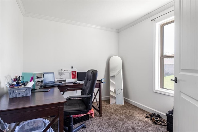 309 NE 102nd Ter, Kansas City, MO 64155 - office area featuring baseboards, carpet flooring, and crown molding