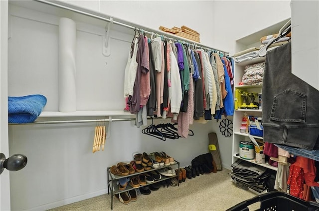 797 NW 1621st Rd, Bates City, MO 64011 - spacious closet with carpet floors