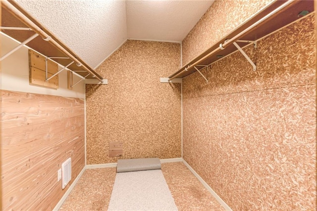 spacious closet featuring carpet