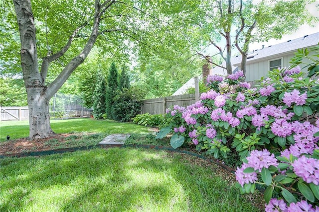 view of yard