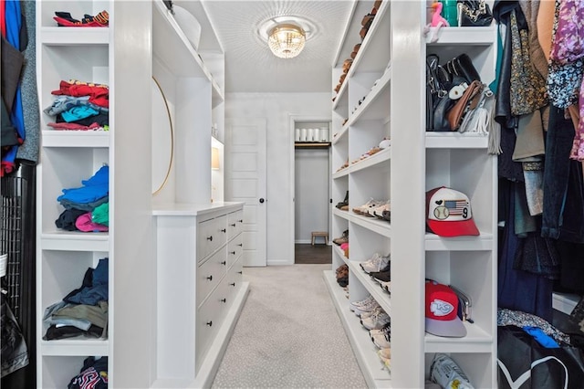 spacious closet with light carpet