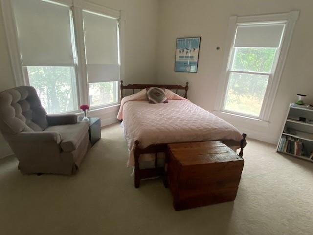 bedroom featuring multiple windows and light carpet