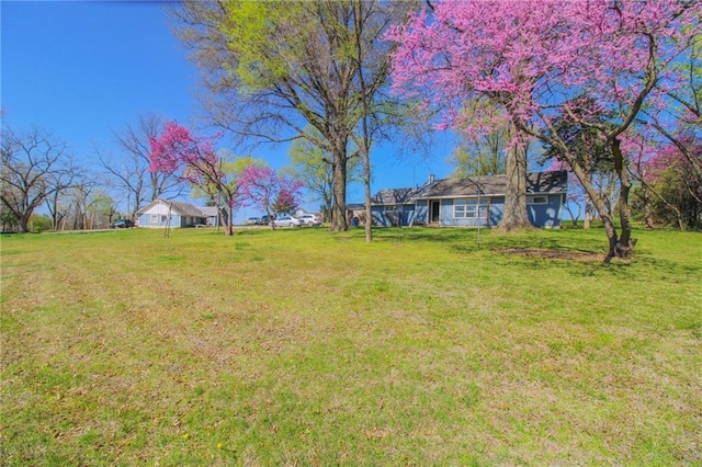 25388 Chieftain Rd, Lawrence, KS 66044 - view of yard