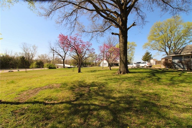 25388 Chieftain Rd, Lawrence, KS 66044 - view of yard