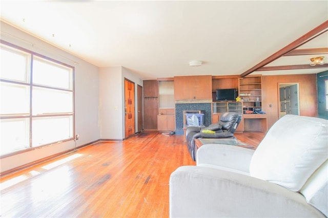 25388 Chieftain Rd, Lawrence, KS 66044 - living area with a wealth of natural light, a glass covered fireplace, light wood-type flooring, and baseboards