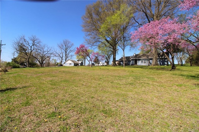 25388 Chieftain Rd, Lawrence, KS 66044 - view of yard