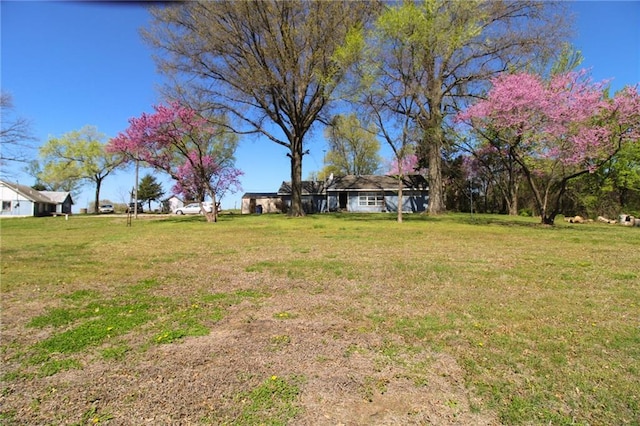 25388 Chieftain Rd, Lawrence, KS 66044 - view of yard
