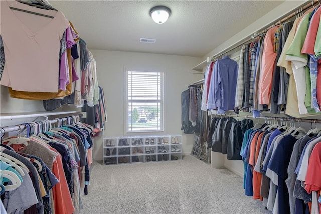 4102 NW 76th Ter, Kansas City, MO 64151 - spacious closet featuring carpet flooring