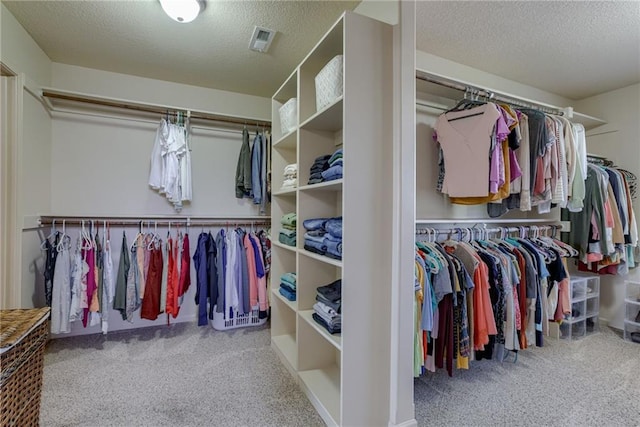 4102 NW 76th Ter, Kansas City, MO 64151 - walk in closet with carpet flooring