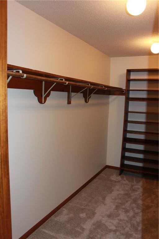 1410 Grandview Dr, Warrensburg, MO 64093 - spacious closet with dark colored carpet