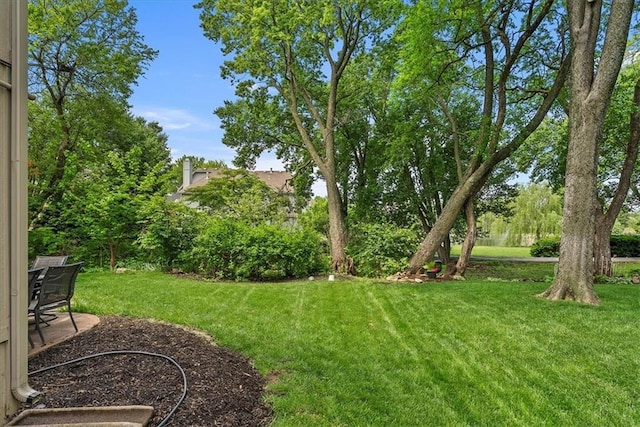 view of green lawn