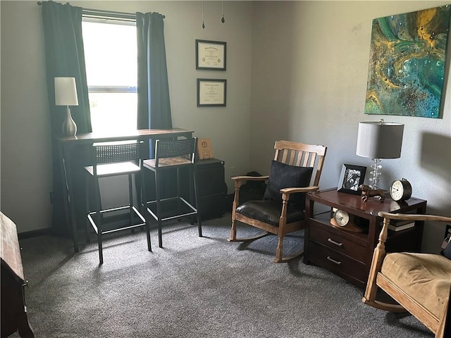 living area featuring carpet floors