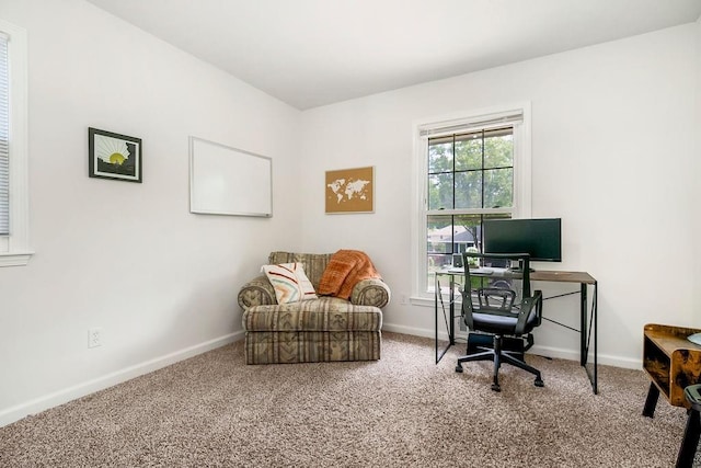 416 NE Carriage St, Lees Summit, MO 64064 - office space with carpet and baseboards