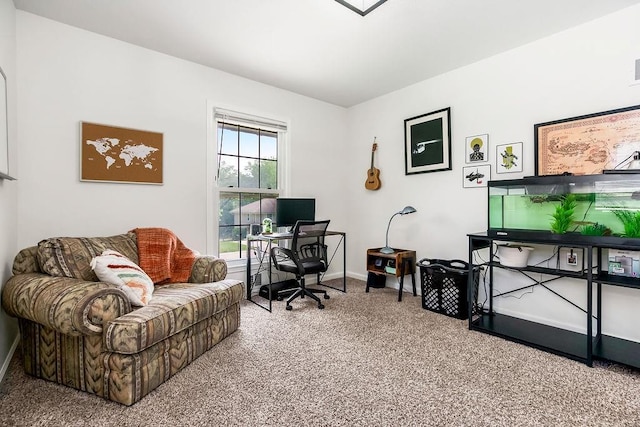 416 NE Carriage St, Lees Summit, MO 64064 - carpeted office with baseboards