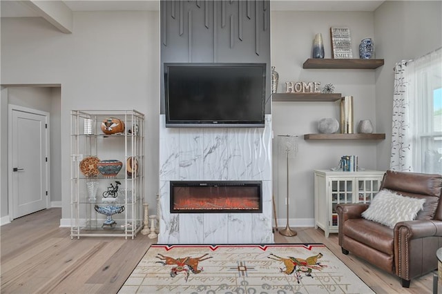 living area with baseboards, wood finished floors, and a premium fireplace