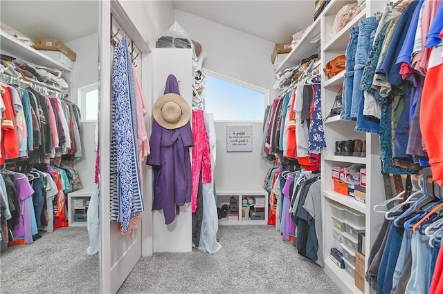 spacious closet featuring carpet flooring