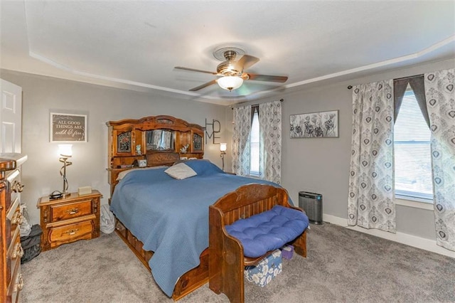 24545 W 54th St, Shawnee, KS 66226 - bedroom with carpet, multiple windows, baseboards, and a tray ceiling