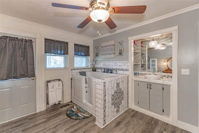 24545 W 54th St, Shawnee, KS 66226 - kitchen with ornamental molding, wood finished floors, a sink, a ceiling fan, and light countertops